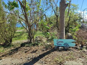  at Green Tara in Donghe