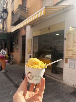 Vegan passion sorbet   at La Gelateria de Saint-Florent in Corsica
