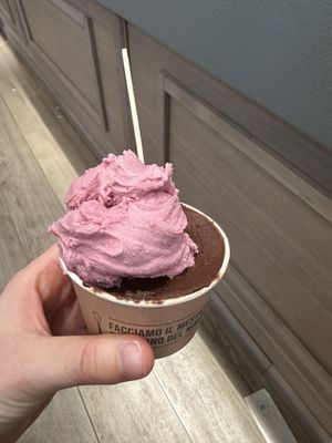 Dark chocolate and berries  at Gelateria La Romana  in Bucharest
