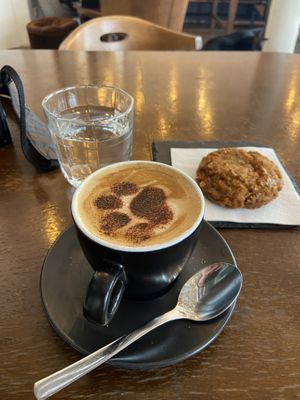   at Barista Cats in Vienna