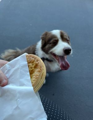 Pie time   at Made with Love Bakery in Southport
