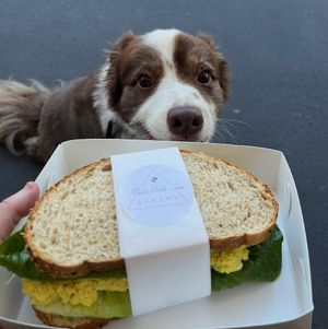 Hopeful for some egg salad sandwich  at Made with Love Bakery in Southport