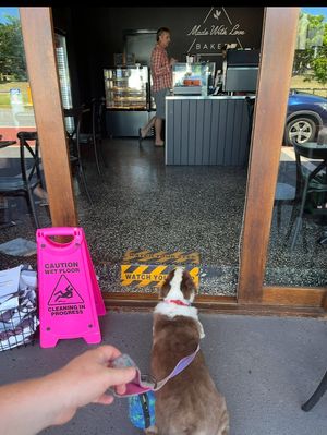 Keen   at Made with Love Bakery in Southport