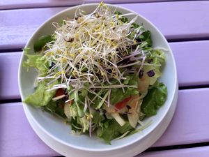 Salad with sprouts   at Artha in Porec