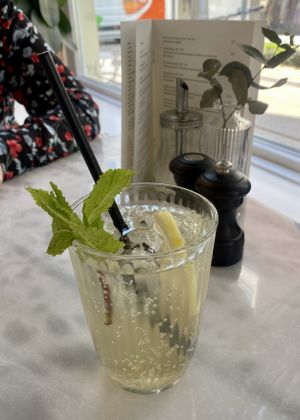 Gember   at June  in Tilburg