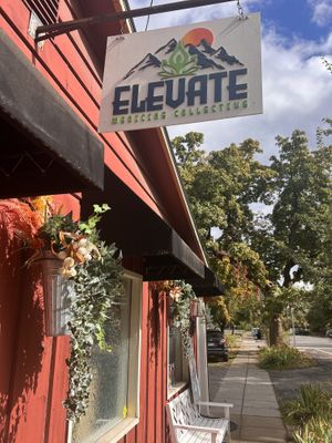   at Elevate Medicine Collective in Jacksonville