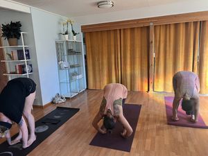   at Elevate Medicine Collective in Jacksonville