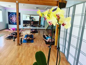   at Elevate Medicine Collective in Jacksonville