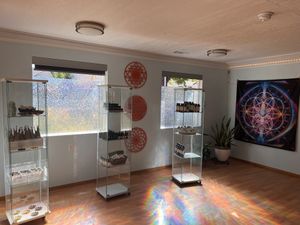   at Elevate Medicine Collective in Jacksonville