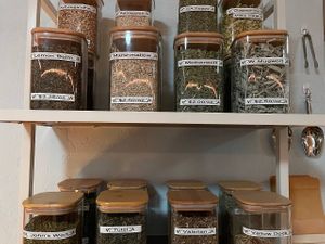   at Elevate Medicine Collective in Jacksonville