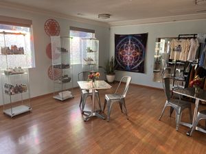   at Elevate Medicine Collective in Jacksonville