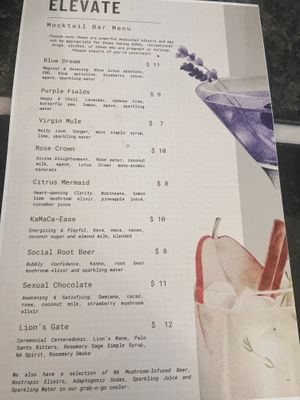 Mocktails and Herbal Elixirs  at Elevate Medicine Collective in Jacksonville