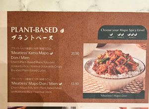 2 options- 3 level is spiciness. I chose level 2 and it was quite spicy!!   at Chen's Mapo Tofu - Star Vista in Central Singapore