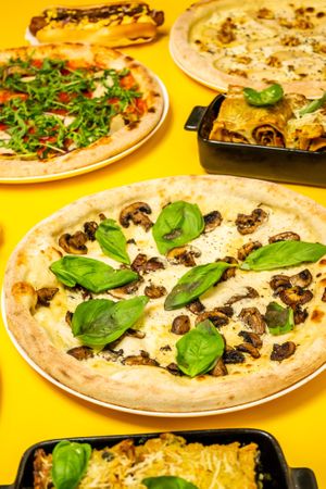  at HOT PLANTS in Prague