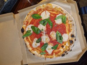  at HOT PLANTS in Prague