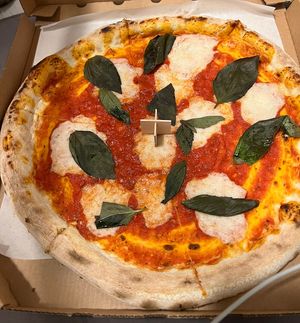   at HOT PLANTS in Prague