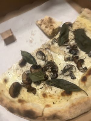   at HOT PLANTS in Prague