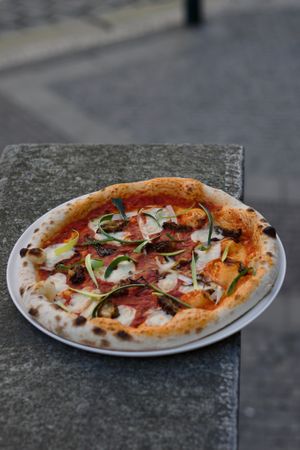  at HOT PLANTS in Prague