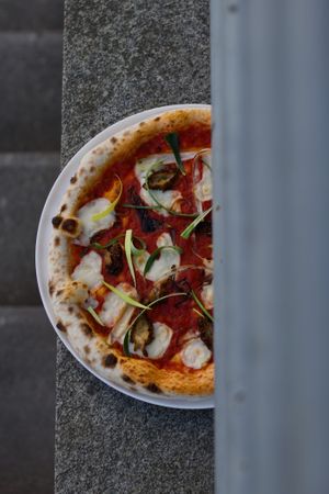  at HOT PLANTS in Prague