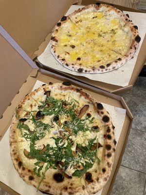   at HOT PLANTS in Prague