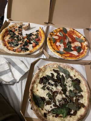   at HOT PLANTS in Prague