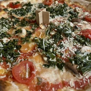   at HOT PLANTS in Prague