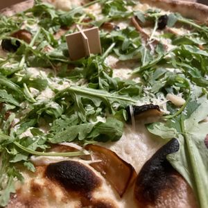   at HOT PLANTS in Prague