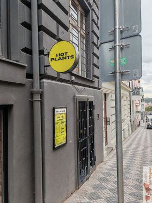 Facade at HOT PLANTS in Prague