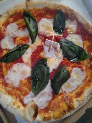  at HOT PLANTS in Prague