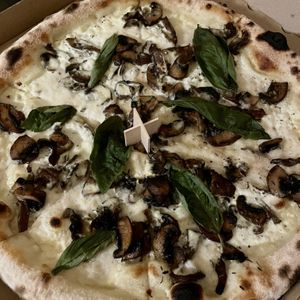   at HOT PLANTS in Prague