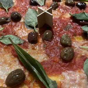   at HOT PLANTS in Prague