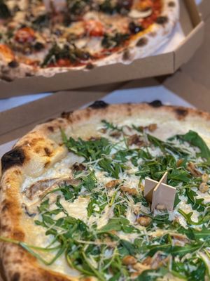   at HOT PLANTS in Prague