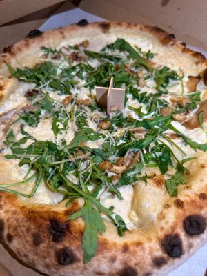   at HOT PLANTS in Prague