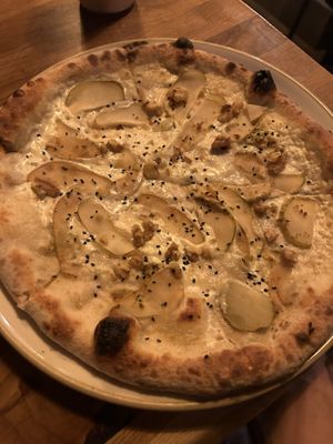   at HOT PLANTS in Prague