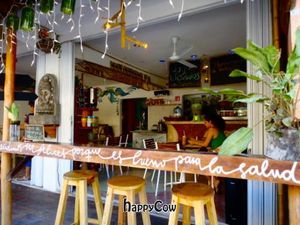 A SMALL PEACEFUL PLEACE IN THE HEART OF PLAYA! at La Senda Restaurante in Playa Del Carmen