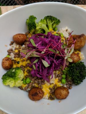 hindi bowl at La Senda Restaurante in Playa Del Carmen