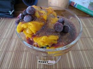 Raw mango banana ice cream with chia seeds at La Senda Restaurante in Playa Del Carmen