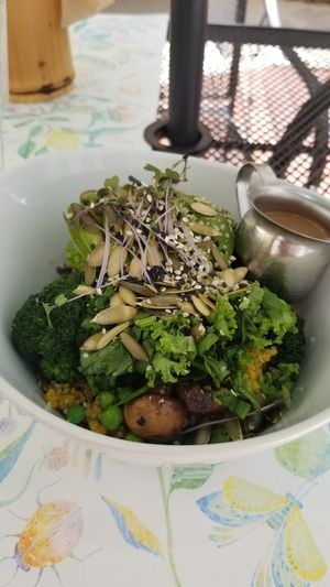 The Amazona Bowl on quinoa - DELICIOUS at La Senda Restaurante in Playa Del Carmen