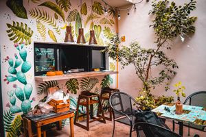 Nice Restaurant at La Senda Restaurante in Playa Del Carmen