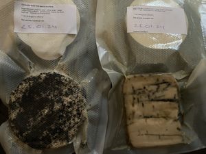 Vegan smoked cheese (very tasty and smooth) and blue cheese (strong aftertaste) by Vega la vie. at Puur & Loos in Utrecht