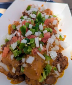 Loaded vice tots at Vice Burger  in Fort Worth