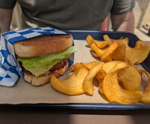 Buffalo chicken sandwich and sidewinder fries at Vice Burger  in Fort Worth
