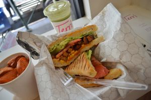 Southwestern Chicken Melt (average), Baked Sweet Potatoes (not good) at Terri - Financial District in New York City