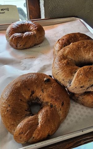  at The Rabbit - 더래빗  in Seoul