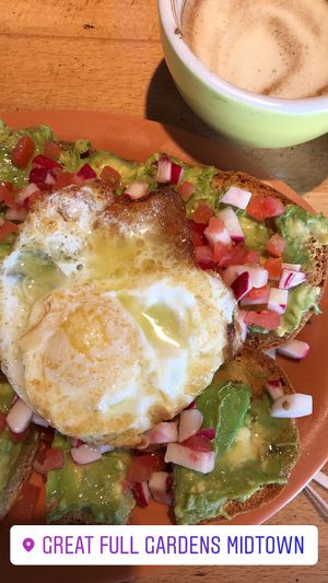 100% recommend Medicinal Mushroom Latte. The Avocado Toast with Lemon Oil is The biggest avo toast I’ve ever seen. GF Baguette.  at Great Full Gardens - Midtown in Reno