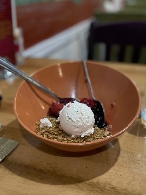 Organic Fruit Crisp | Coconut Bliss Ice Cream  #Veganuary at Great Full Gardens - Midtown in Reno