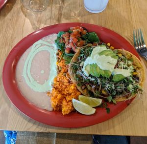 Roasted veggie tacos at Great Full Gardens - Midtown in Reno