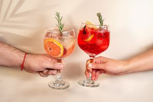 Gin Tonics (Grapefruit and Hibiscus) at Santo Habanero in Mexico City