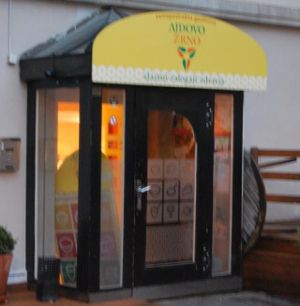  at Ajdovo Zrno in Ljubljana