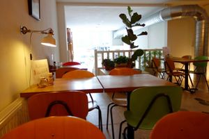 DopHert at DopHert in Amsterdam